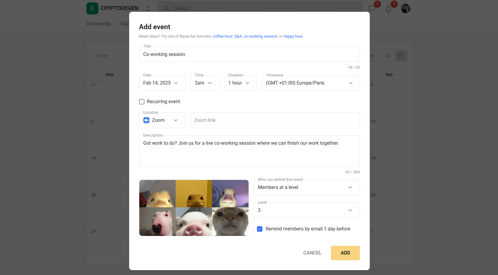 Calendrier des lives et des événements